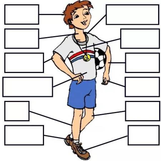 活动  接着给学生看身体部位图(空白),将这些部位名称打印出来,请学生