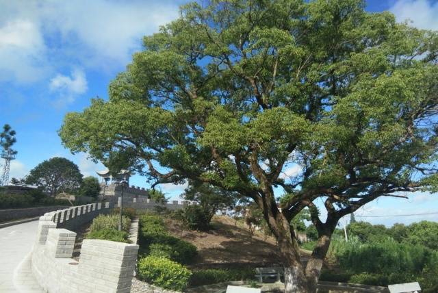 晓塘乡青山头村