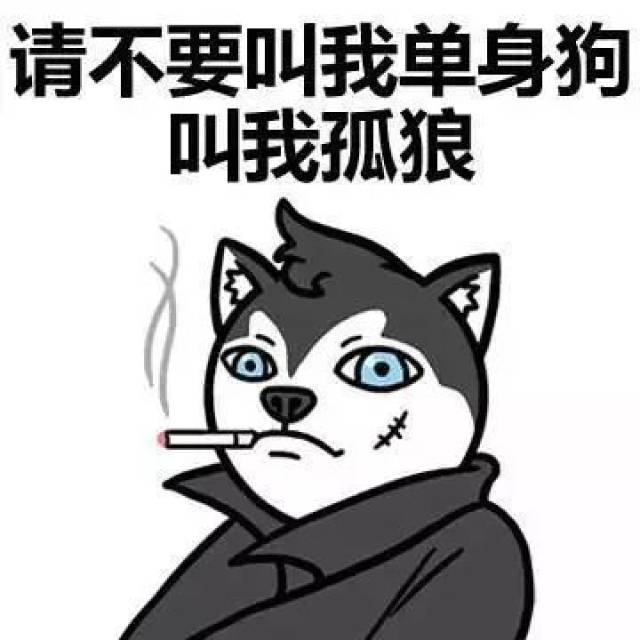 最后,不要叫我单身狗,请叫我孤狼!