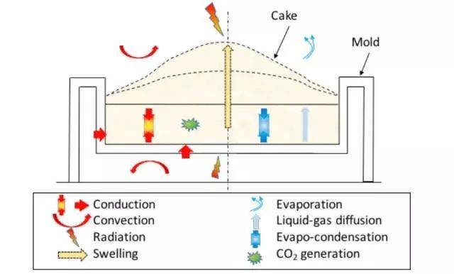 COMSOL教程 | 在 COMSOL 中模拟蛋糕的烘焙