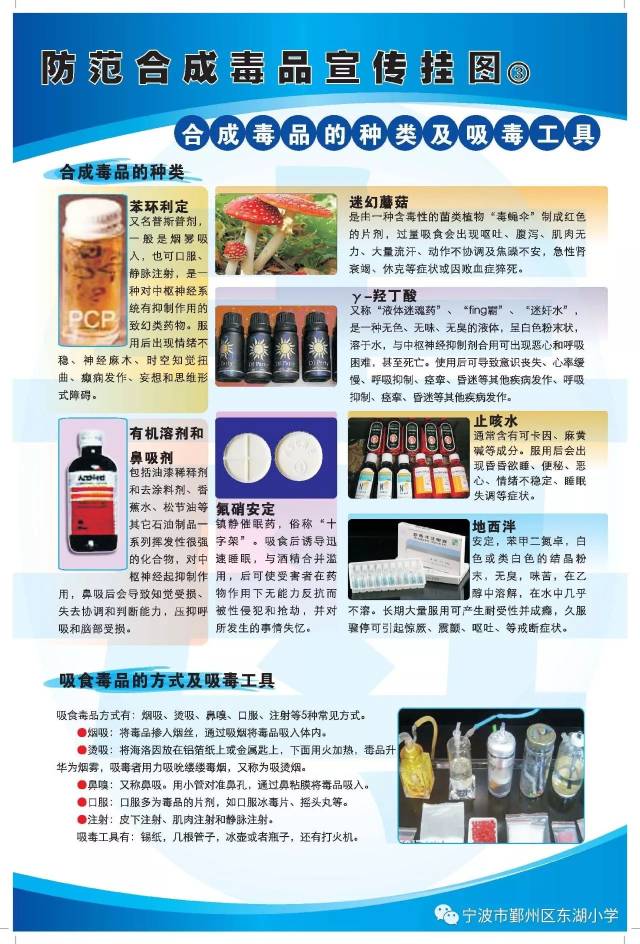 远离毒品 珍爱生命 ——东湖小学开展禁毒宣传活动_手机搜狐网