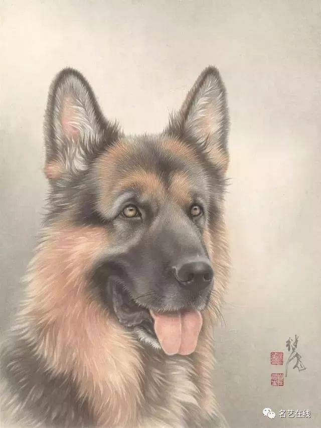 国画技法:工笔画狗的画法,超详细步骤!