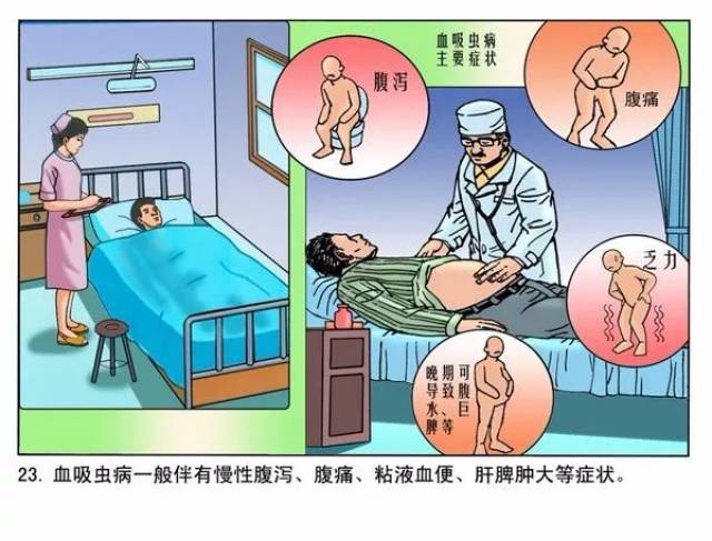 科普一图读懂血吸虫病的前世今生