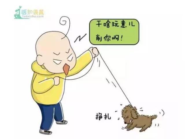 2954eb7b17554d22a1013c57cad7072a.jpeg