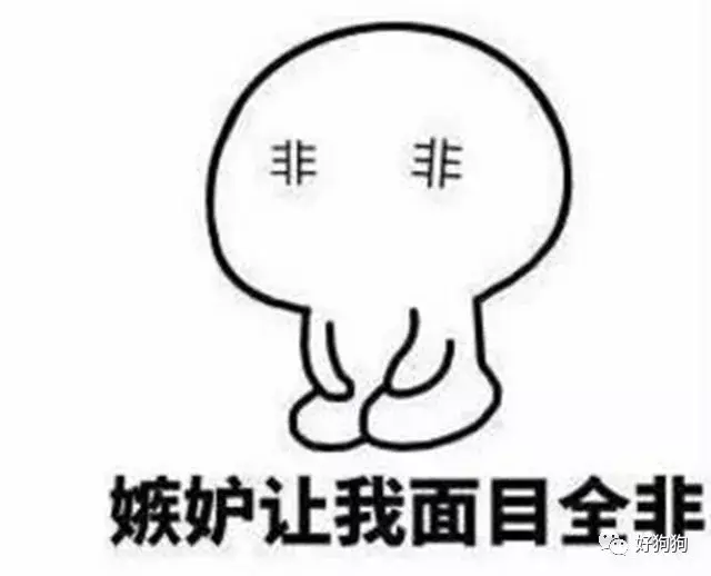 看完美国队长实力宠汪的日常,我承认很羡慕这只汪