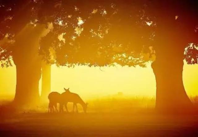 听说这里有动次打次就能考满分的歌单…|@三