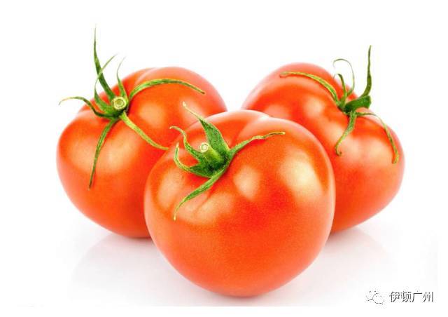 tomato番茄
