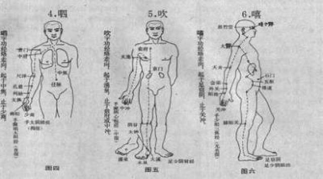 三焦有主持诸气,总司全身气机和气化,运行水液的作用.