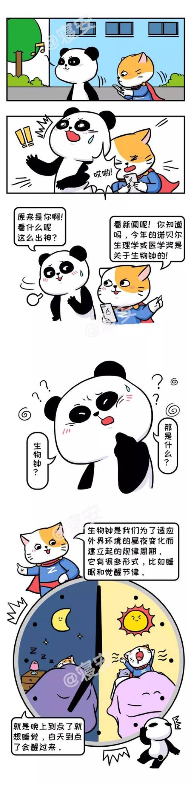 睡眠漫画 | 第二期 神奇的生物钟