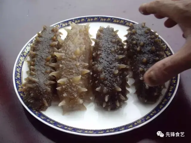 海参4种涨发做法,附技巧!技巧暖暖攒钻小奇迹图片