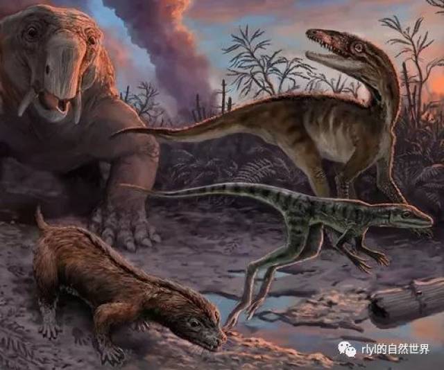 【恐龙探索】天劫混沌--埃雷拉龙!