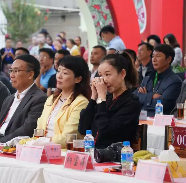 十年蝶变 未来已来—勐海七彩云南茶厂有限公司十周年庆典感动