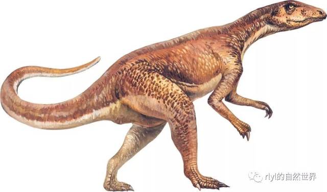 【恐龙探索】天劫混沌--埃雷拉龙!