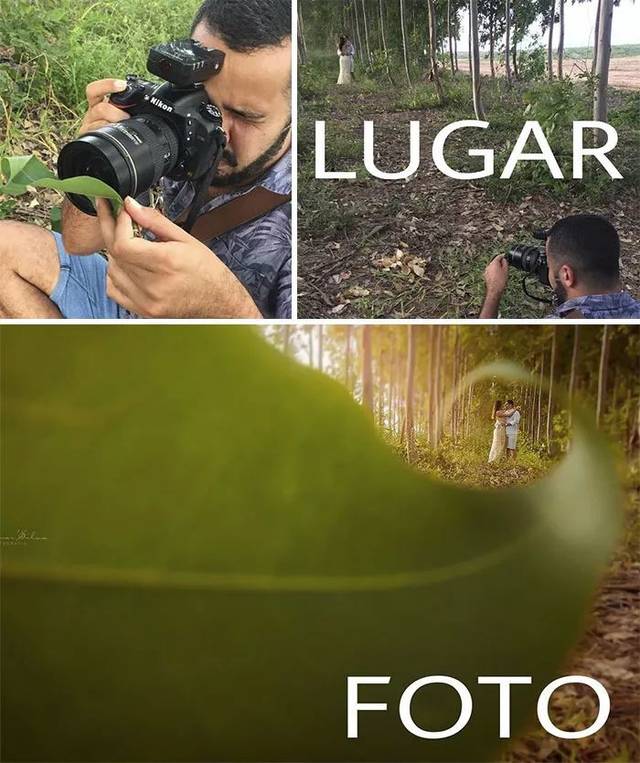 d41f60dea3ac4b368586113c305828cc.jpeg