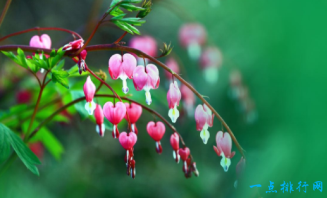 16f0e500bb3a46c881901dd54fcfa6f4.jpg
