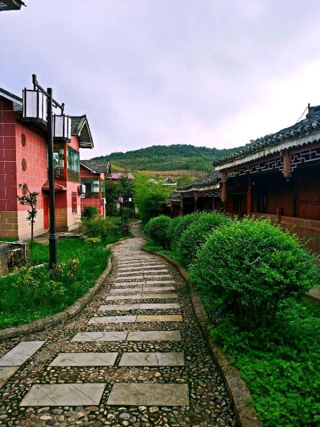 遵义务川县栗园大草原,这季节美得不像话