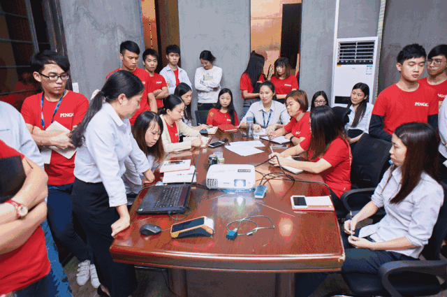 24小时,1440分钟,4.82亿!卫冕销冠!