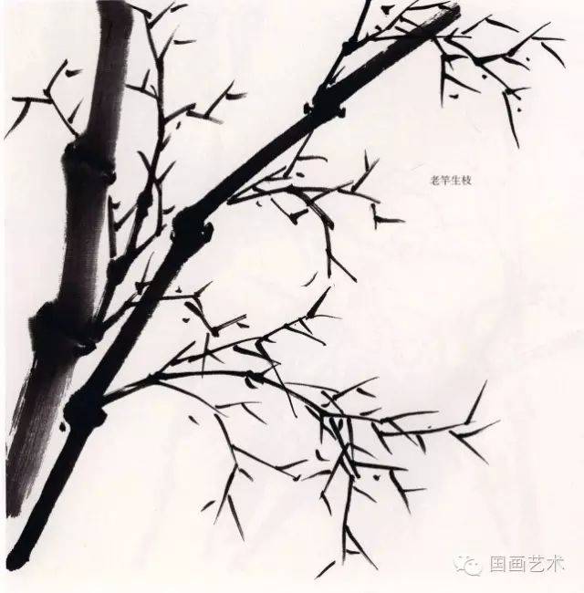 图文教程:写意画入门之画竹要诀