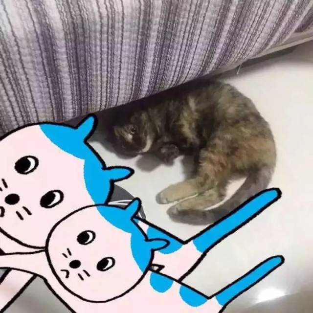 56e1a50d79cb4b04b7d020107e83146c.jpeg