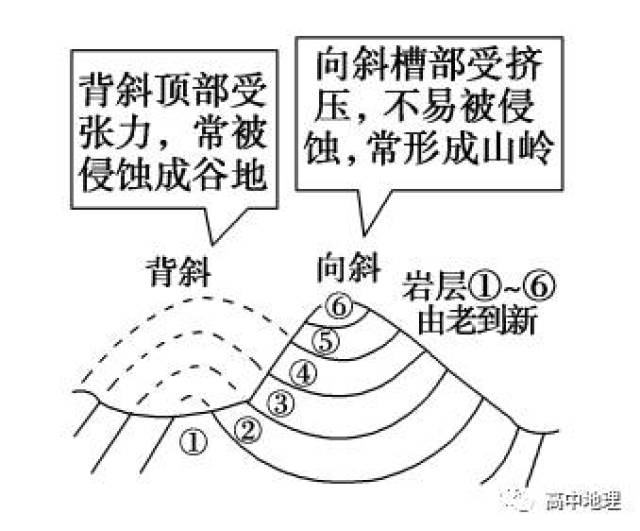 褶皱 断层 背斜 向斜 判断方法 从形态上 岩层一般向上拱起 岩层一般