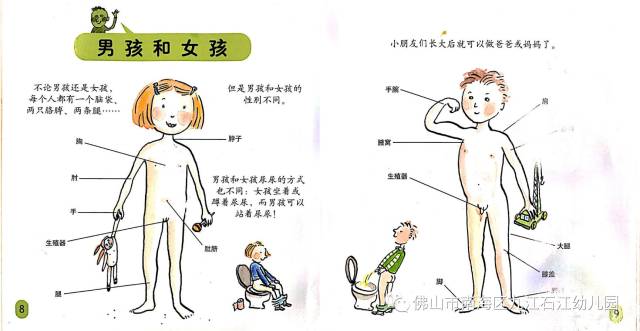 【儿童性教育 · 爱的教育】石江幼儿园大班级性教育专题讲座