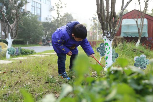 我给小树穿绿衣 万红幼儿园