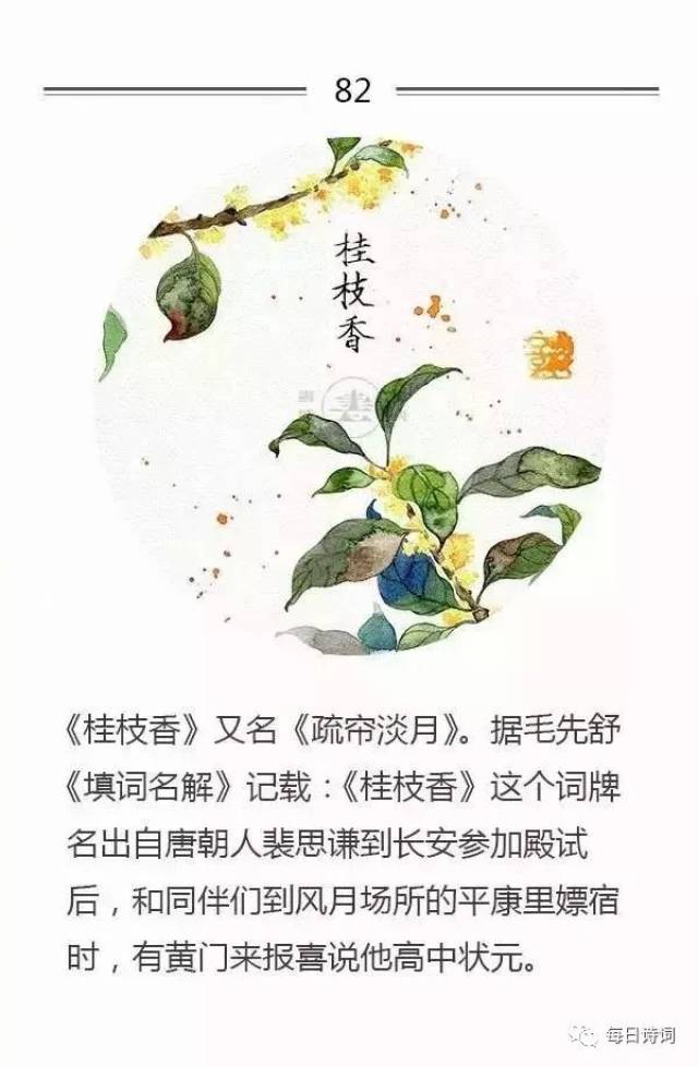 100个唯美词牌名的由来