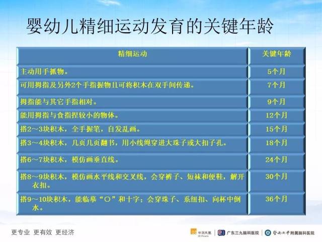 小结: 精细动作主要是指个体主要凭借手以及手指等部位的小肌肉或小