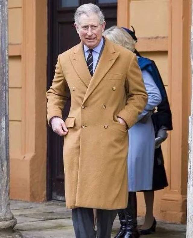 英国查尔斯王子 hrh prince charles