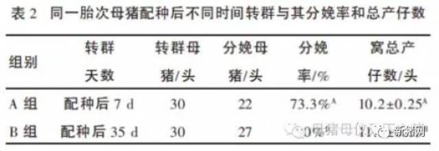 母猪年生产力受哪些因素影响?试验结果告诉你答案!