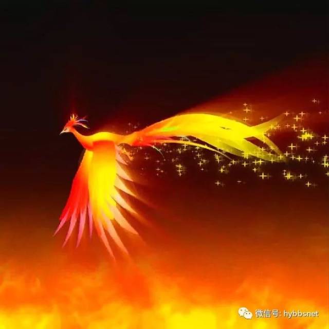 凤凰,中国古代传说中的百鸟之王,象征祥瑞,与龙同为汉族民族的图腾.