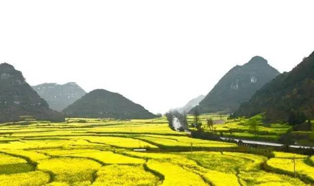 唐朝重庆人口_唐朝人口分布图