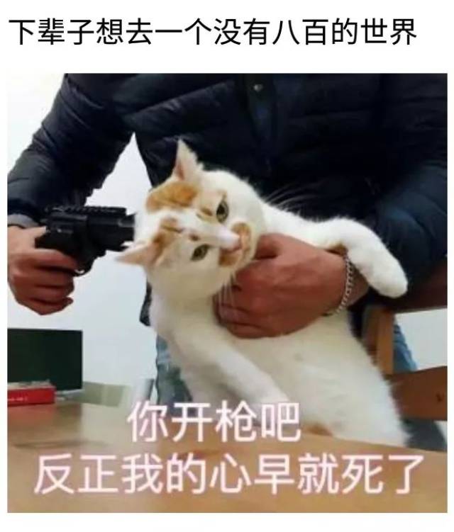 八百米体测|对不起你打死我吧我的心已经死了