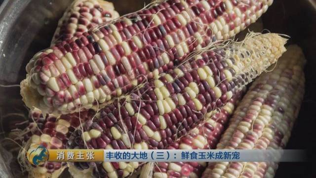 品质差的玉米能吃吗 57af9f8c7d5140278ca31a0a6f9c5dc1.jpeg