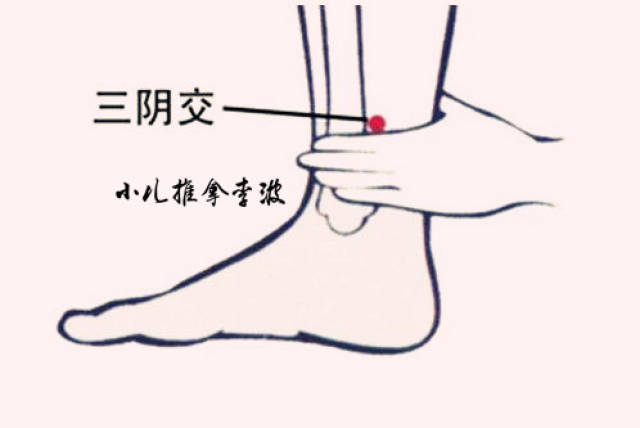 揉丹田,补肾,按揉肾俞,擦腰骶部以温补肾气,壮命门之火,固涩下元