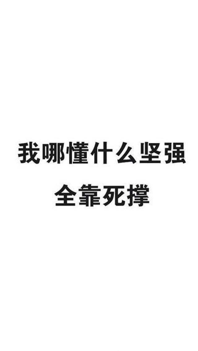 求告白求带走的脱单锦鲤 手机壁纸!