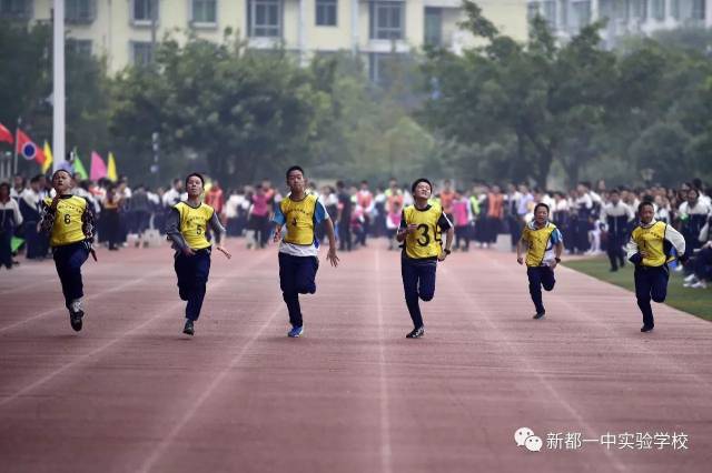 无运动,不青春——新都一中实验学校体育文化节闭幕式暨"运动之星"