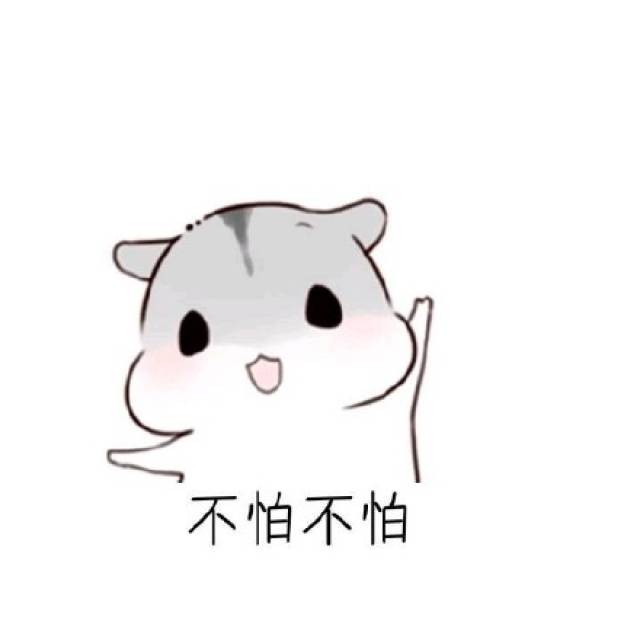 万能聊天回复,这几句话足以搞定女朋友!仓鼠斗图表情包搞笑图片