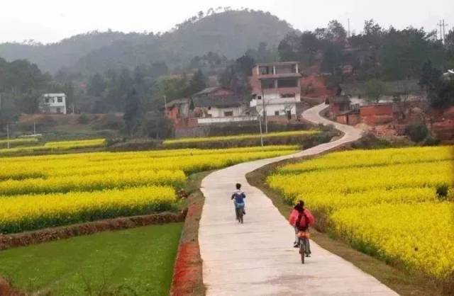 中堂村人口_组中堂丧事大王柯畈村