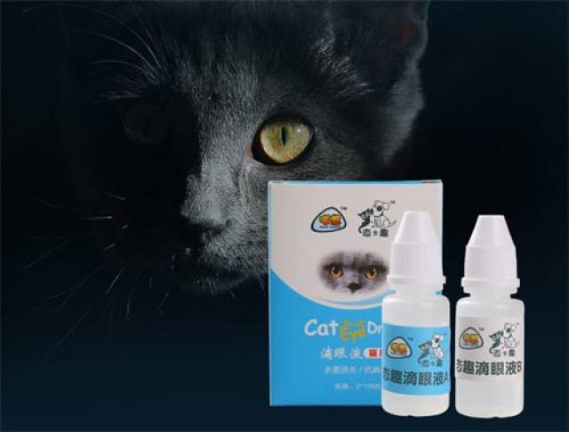 加菲猫泪痕重,加菲猫如何去泪痕