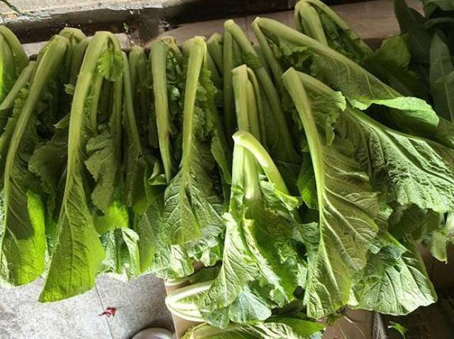 南北方青菜之争,来广西的北方人 , 这个问题要注意了!
