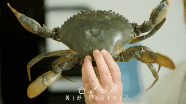 我们花了近万块,尝遍了市面上所有螃蟹,只想告诉你哪个好吃