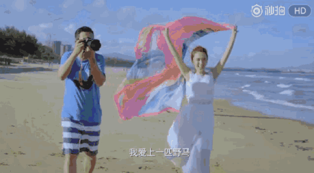 老马学习: 