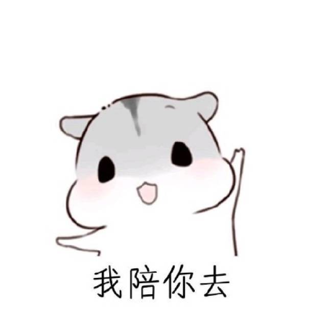万能聊天回复,这几句话足以搞定女朋友!仓鼠斗图表情包搞笑图片