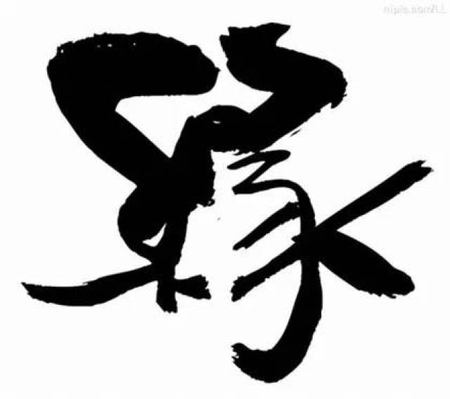 随缘 f35f24c75fdf41afbfde5f70459618d0.jpeg