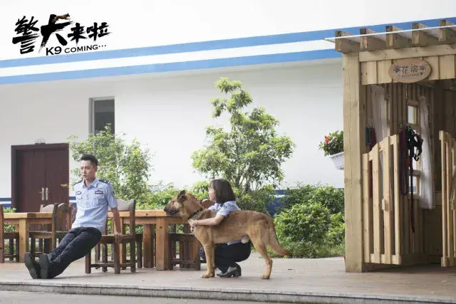 《警犬来啦》狗子花式叫主人起床,你服谁?