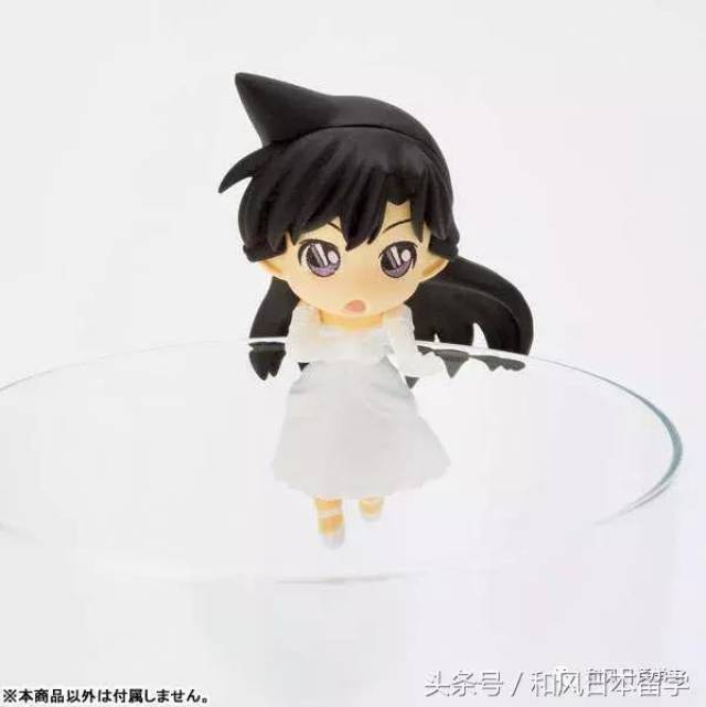 小兰  