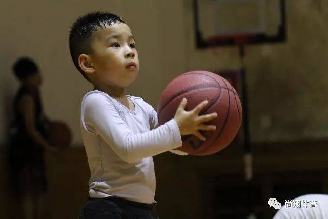 我们不仅仅是幼儿篮球班