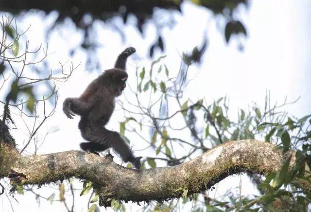 元旦雪乡徒步,周末探班新剧,理解未来讲座,11.16 北京资讯