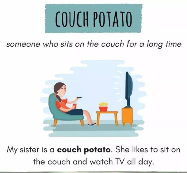 couch potato 一天到晚坐在沙发上看电视的人